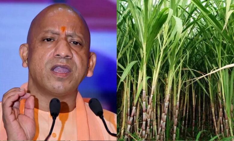 यूपी-गन्ना-किसानों-के-लिए-खुशखबरी:-दाम-में-₹30-प्रति-क्विंटल-की-बंपर-बढ़ोतरी