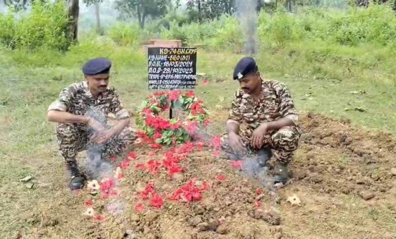 सेवा और शौर्य की मिसाल: नक्सल क्षेत्रों में कई जानें बचाने वाला CRPF का डॉग ‘EGO’ हुआ शहीद