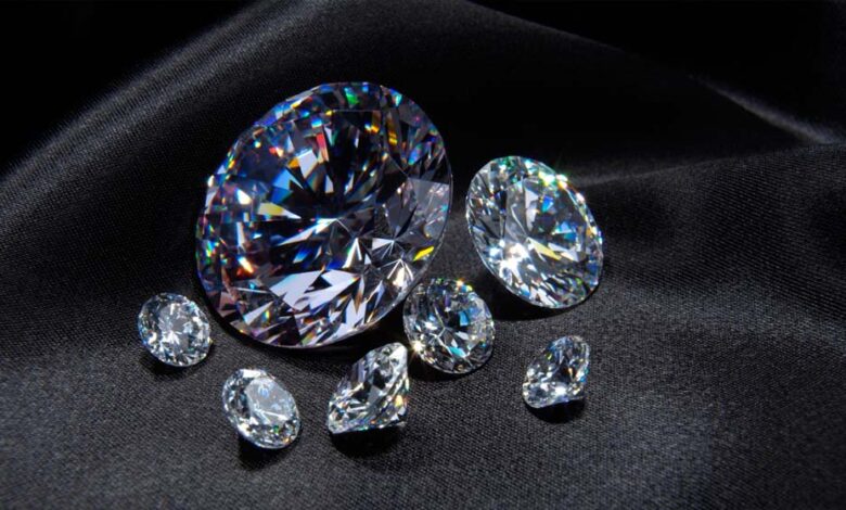 पन्ना-टाइगर-रिजर्व-के-गाइड-को-मिले-दो-चमचमाते-हीरे,-आगामी-नीलामी-में-होंगे-रखे