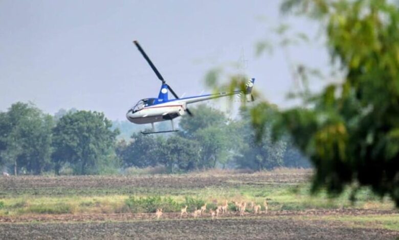 हेलीकॉप्टर-और-बोमा-से-कृष्ण-मृगों-और-नीलगायों-को-पकड़ने-का-अभियान-जारी