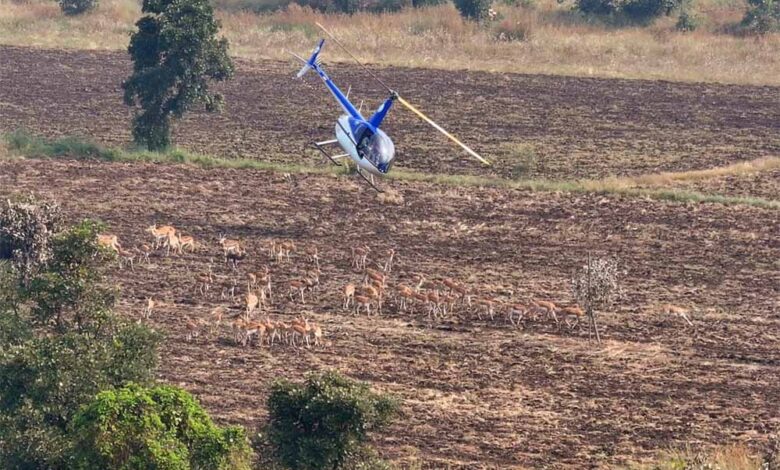 सेवा-भाव-और-वन्य-जीव-संरक्षण-का-प्रतीक-है-देश-का-पहला-हाई-टेक-वन्य-जीव-कैप्चर-अभियान-:-मुख्यमंत्री-डॉ.-यादव
