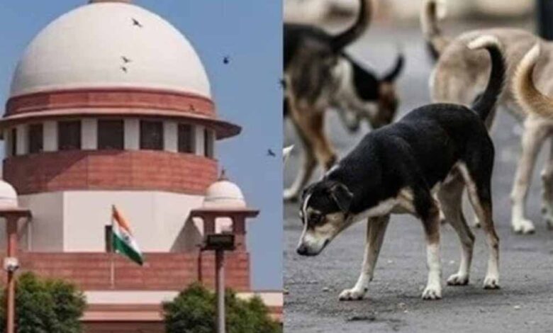 विदेशी-नागरिकों-पर-आवारा-कुत्तों-के-हमले-से-देश-की-छवि-को-नुकसान:-सुप्रीम-कोर्ट-सख्त