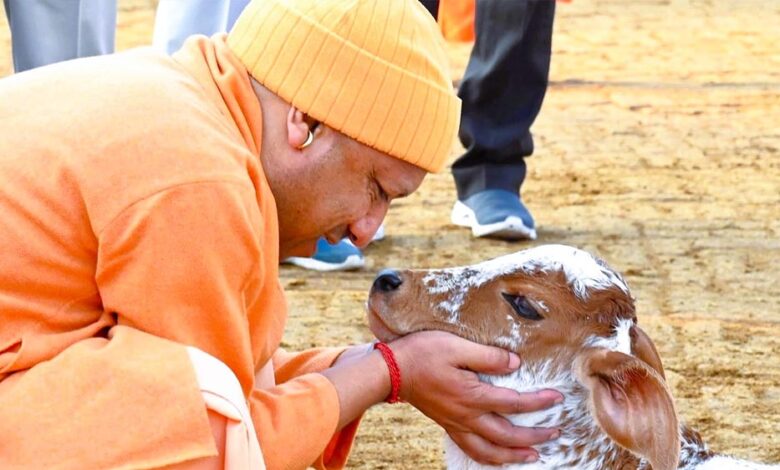 विशेष-आर्टिकल-नंद-बाबा-दुग्ध-मिशन:-उत्तर-प्रदेश-में-डेयरी-क्रांति-का-नया-अध्याय-–-किसानों-की-आय-दोगुनी-से-आत्मनिर्भर-ग्रामीण-अर्थव्यवस्था-तक