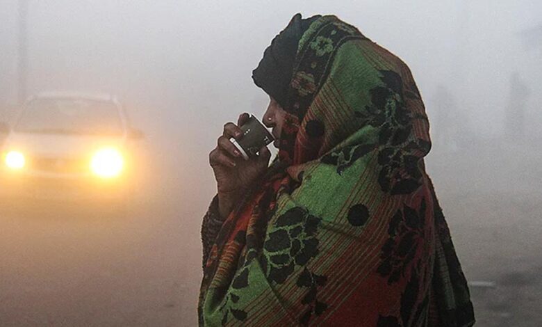 mp-में-शीतलहर-की-दस्तक:-23-जिलों-में-अलर्ट,-9-शहरों-में-पारा-10°-से-नीचे,-राजगढ़-सबसे-ठंडा