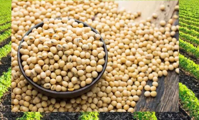 भावांतर-योजना-को-गति-देने-मंडी-बोर्ड-लेगा-1,500-करोड़-का-कर्ज