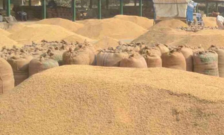 2.43-लाख-मीट्रिक-टन-से-अधिक-की-हो-चुकी-धान-खरीद