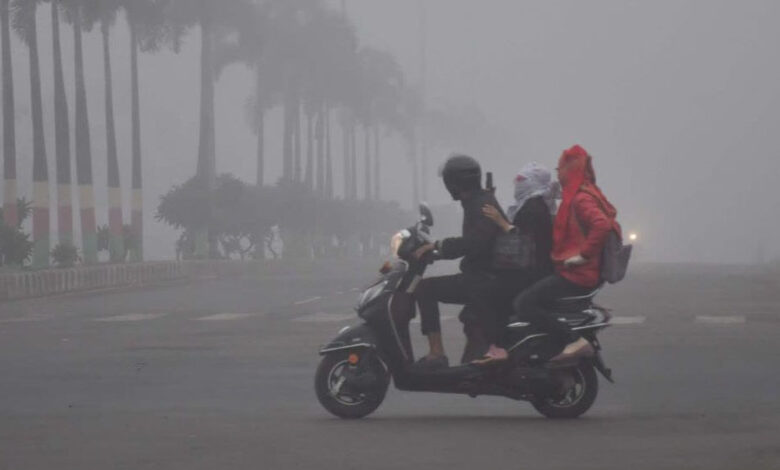 मध्यप्रदेश-में-सर्दी-का-कहर:-राजगढ़-74°c,-इंदौर-7.6°c;-13-जिलों-में-शीतलहर,-अनूपपुर-बालाघाट-में-कोल्ड-डे