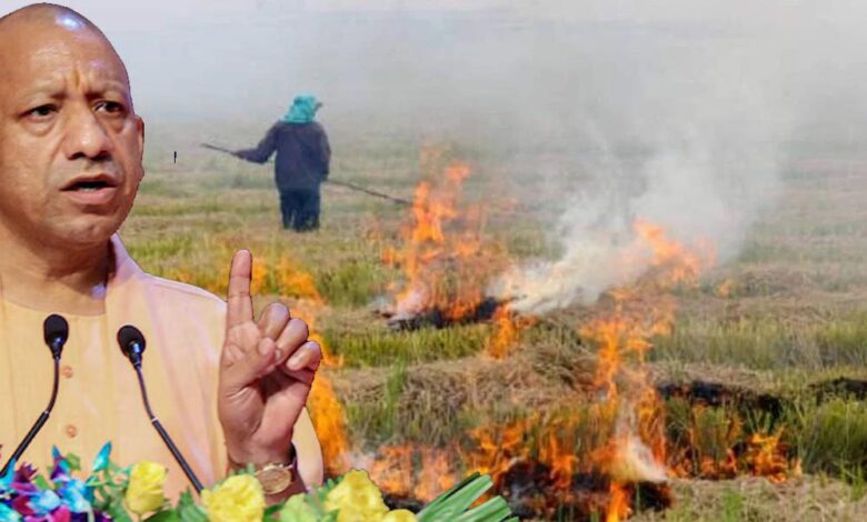 मुख्यमंत्री-योगी-के-सख्त-निर्देशों-का-असर,-उत्तर-प्रदेश-में-पराली-जलाने-की-घटनाओं-में-आई-उल्लेखनीय-कमी