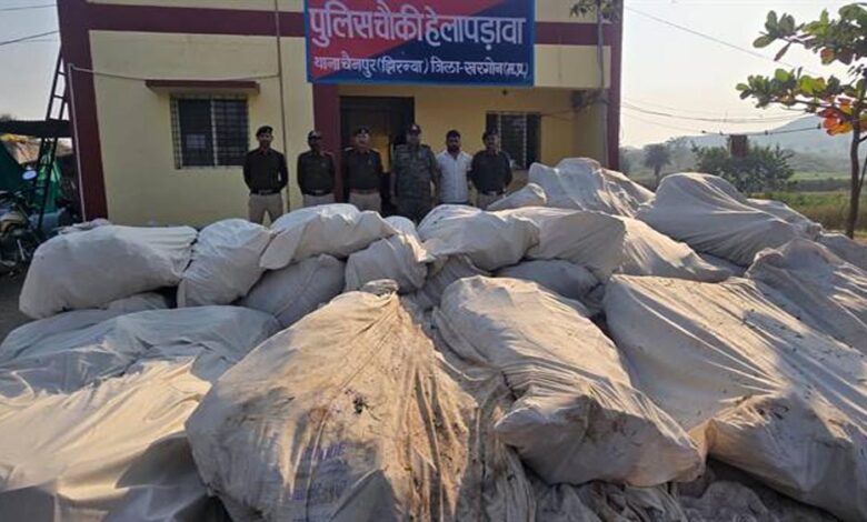 नशे-के-विरूद्ध-खरगोन-पुलिस-की-अब-तक-की-सबसे-बड़ी-कार्रवाई-पहाड़ी-क्षेत्र-में-अवैध-गांजा-की-खेती-का-भंडाफोड़