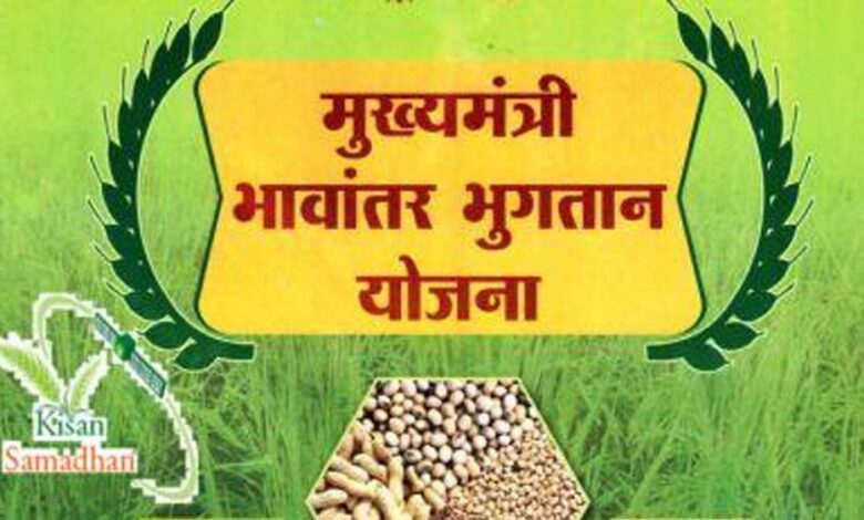 भावांतर-योजना-में-सोयाबीन-का-मॉडल-रेट-बढ़कर-हुआ-4184-रुपए