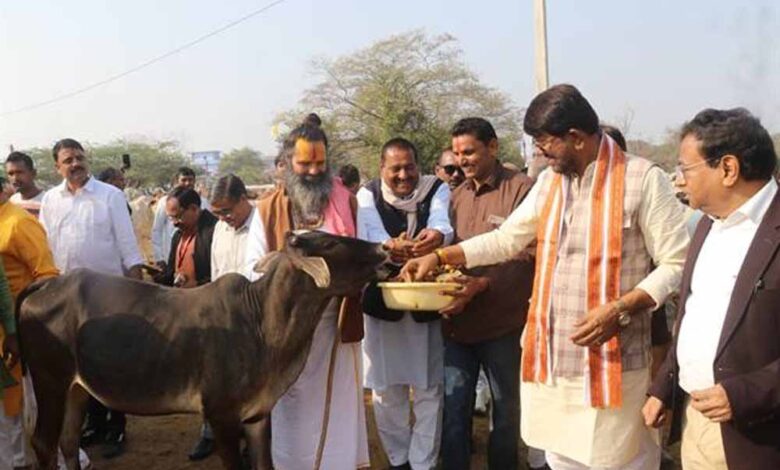 प्रदेश-में-अधिक-से-अधिक-बनें-स्वावलंबी-गो-शालाएँ-:-राज्यमंत्री-पटेल