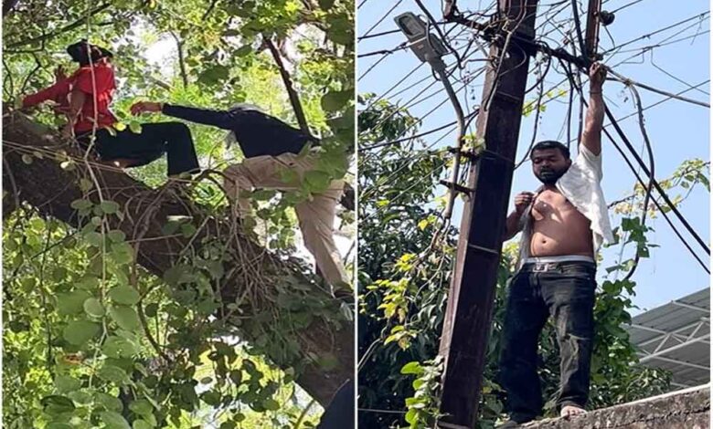 mp-news:-इंदौर-में-अवैध-मकान-हटाने-पर-युवक-ने-पकड़ा-बिजली-का-तार,-युवती-पेड़-पर-चढ़ी