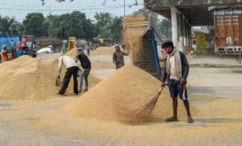 51-हजार-से-अधिक-किसानों-से-किया-गया-धान-क्रय