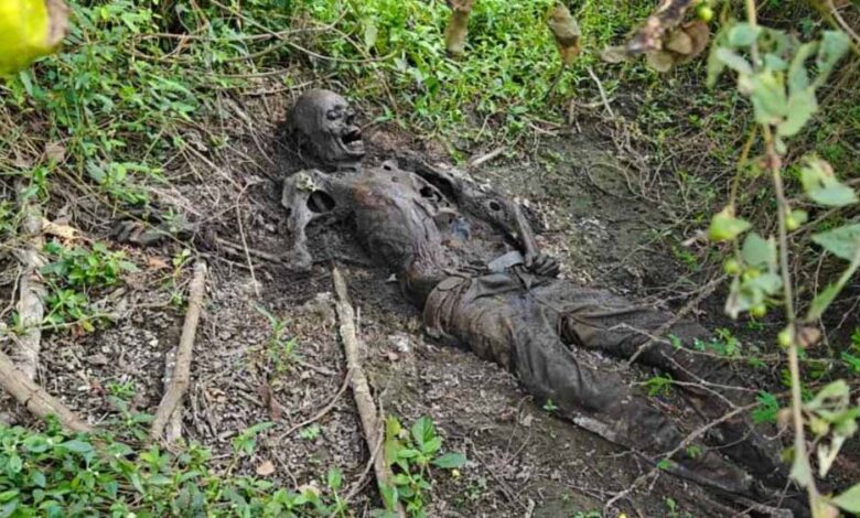 झाड़ियों-में-मिला-नर-कंकाल,-पुलिस-ने-शिनाख्त-प्रक्रिया-की-तेज