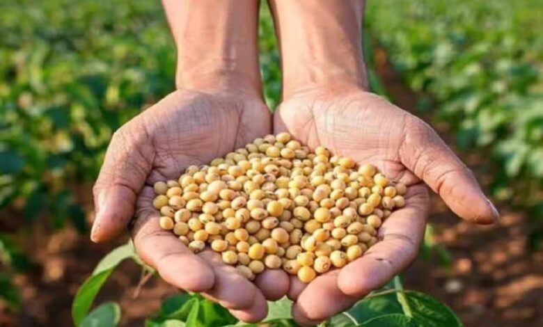 सोयाबीन-किसानों-को-बड़ी-राहत:-भावांतर-योजना-में-मॉडल-रेट-बढ़कर-4225-रुपये