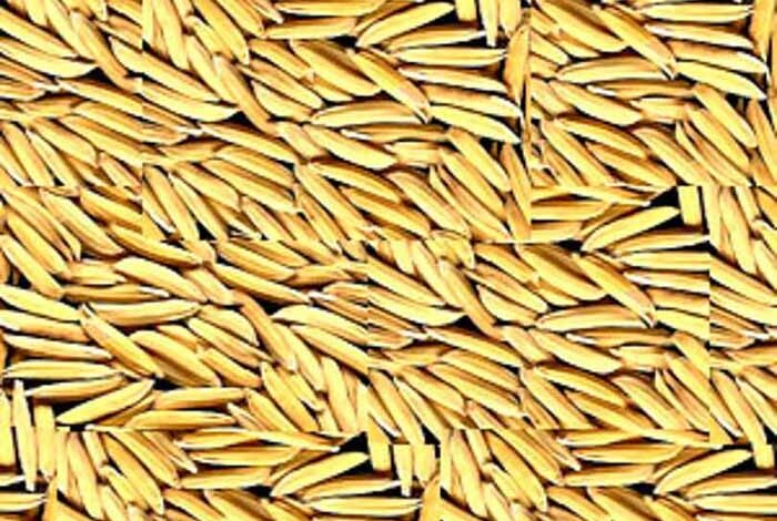 गौरेला-पेंड्रा-मरवाही-:-धान-खरीदी-के-पहले-दिन-दो-केंद्रों-में-आठ-किसानों-ने-बेचा-506.80-क्विंटल-धान