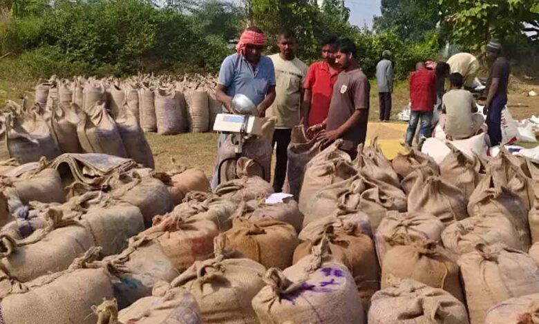 धान-खरीदी-में-लापरवाही:-250-राशन-दुकानों-का-आवंटन-निरस्त,-12-कर्मचारियों-पर-एफआईआर