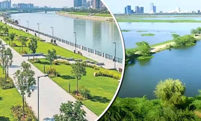 YEIDA की बड़ी योजना: यमुना सिटी में बनेगा आधुनिक रिवरफ्रंट, 7 सेक्टर होंगे लाभान्वित