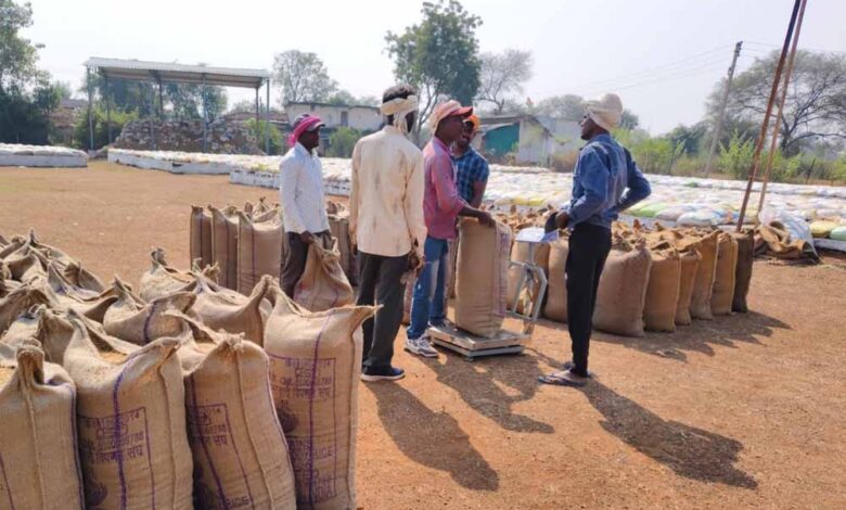 बालोद-जिले-में-समर्थन-मूल्य-पर-धान-खरीदी-कार्य-सफलतापूर्वक-जारी
