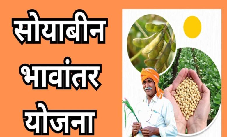 भावांतर-योजना-में-सोयाबीन-का-मॉडल-रेट-बढ़कर-हुआ-4267-रुपए