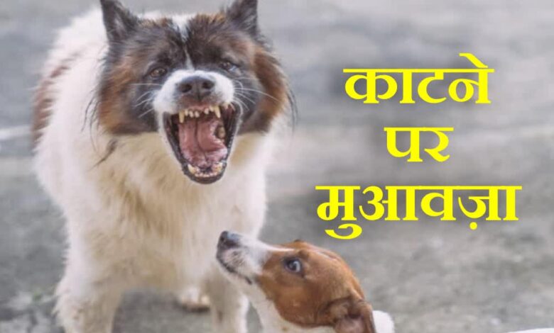 कर्नाटक-सरकार-का-बड़ा-फैसला:-कुत्ते-के-काटने-से-मौत-पर-परिवार-को-5-लाख,-चोट-निशान-पर-5-हजार-रुपये-मुआवजा