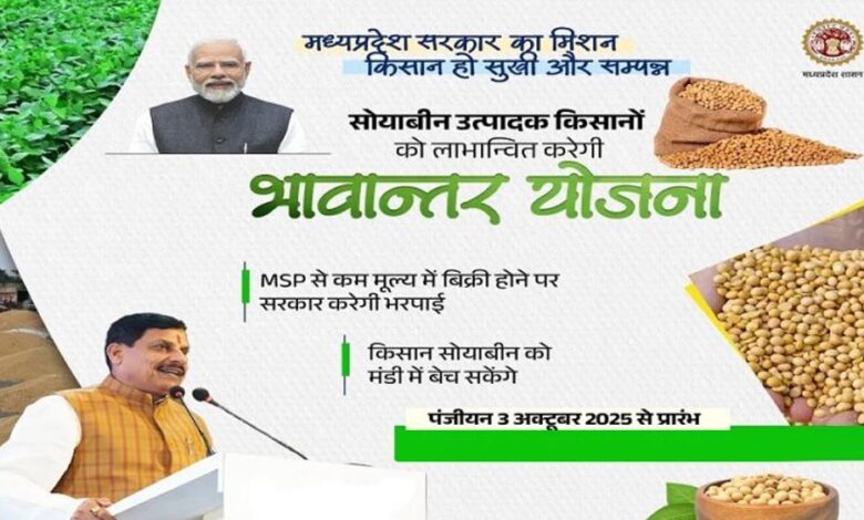 भावांतर-योजना-में-सोयाबीन-का-मॉडल-रेट-बढ़कर-हुआ-4271-रुपए