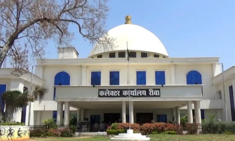 रीवा-प्रशासन-का-खास-ऑफर:-बीएलओ-और-सरकारी-कर्मचारियों-को-फ्री-मूवी,-डिनर-और-टाइगर-सफारी-टिकट