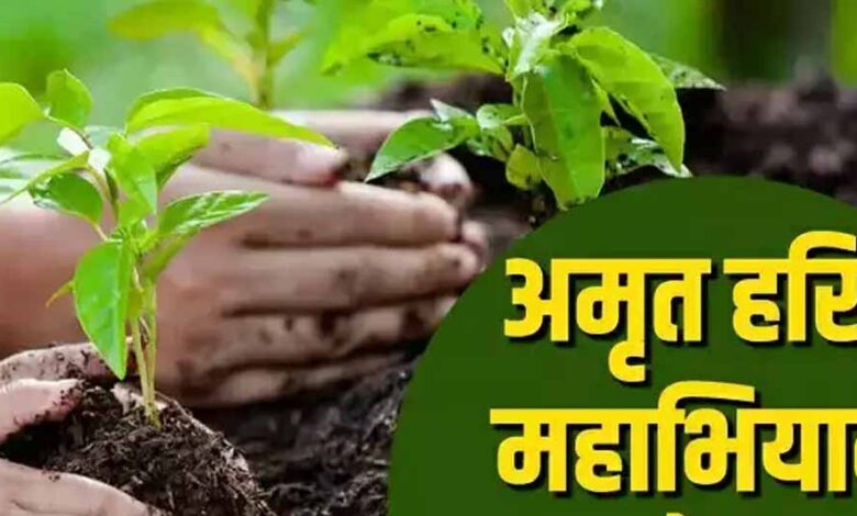 अमृत-हरित-महाअभियान-के-लिये-संभागवार-बैठकें,-स्थानीय-नर्सरियों-को-सुदृढ़-करने-के-निर्देश