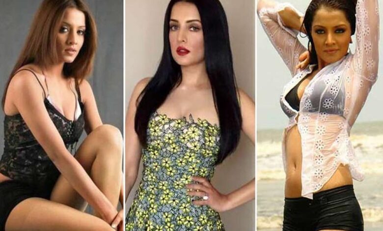 सेलिना-जेटली-ने-लगाया-पति-पर-मारपीट-का-आरोप,-शादी-के-15-साल-बाद-रिश्ते-में-दरार