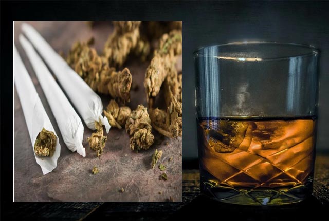 शराब-की-खपत-में-गिरावट,-लेकिन-बढ़-रहा-है-गांजा-सेवन—क्या-यही-है-असली-वजह?