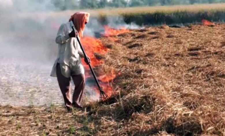सख्ती-बेअसर!-इस-साल-पराली-जलाने-के-मामले-बढ़े,-कई-जिले-टॉप-लिस्ट-में