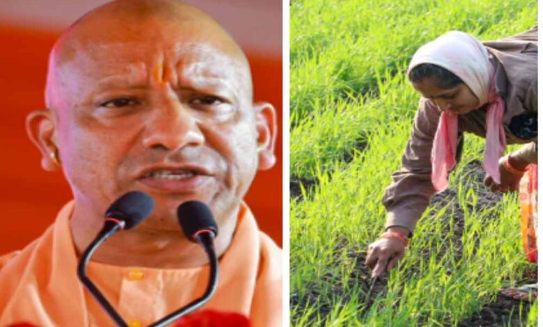 योगी-सरकार-ने-रखा-ध्यान-तो-उन्नत-हुई-खेती-और-खुशहाल-हुआ-किसान