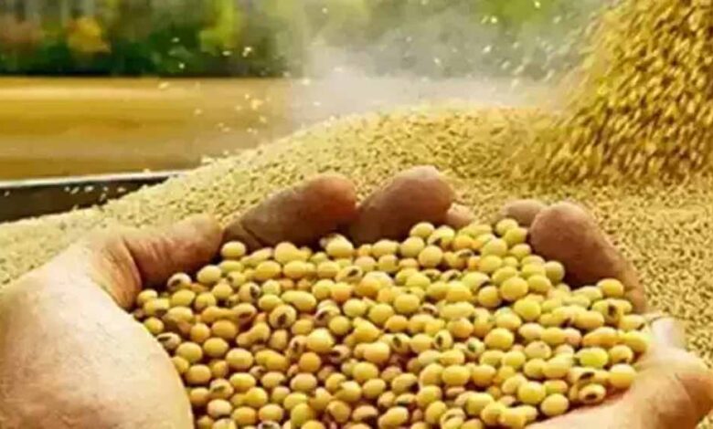 भावांतर-योजना-में-सोयाबीन-का-मॉडल-रेट-4239-रुपए-जारी