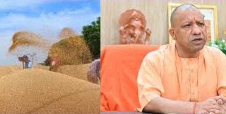 हर-किसान-का-धान-खरीदा-जाए—सीएम-योगी-का-सख्त-निर्देश,-अफसरों-को-दिया-जीरो-टॉलरेंस-का-संदेश