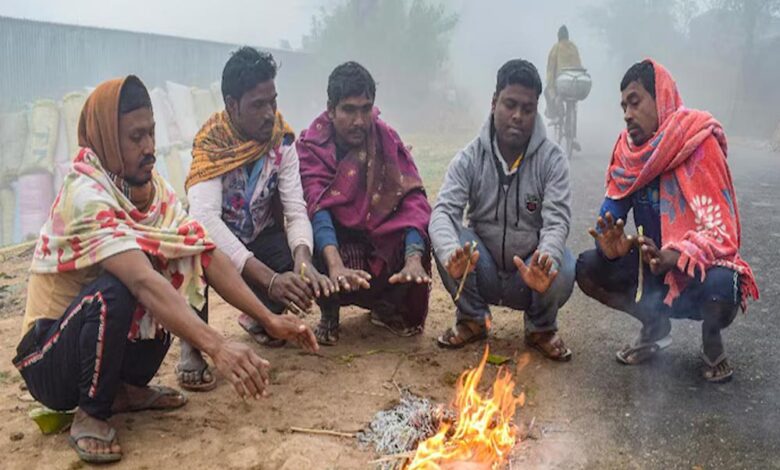 mp-में-कोल्ड-वेव-का-कहर,-बर्फीली-हवाओं-से-बढ़ी-कंपकंपी,-कई-जिलों-में-शीतलहर-का-अलर्ट