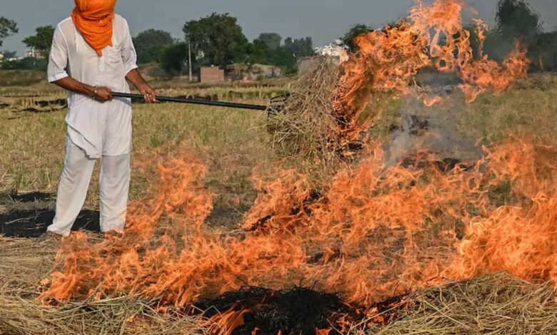 पराली-जलाने-में-देश-में-सबसे-आगे-मध्य-प्रदेश,-किसानों-को-जागरूक-करना-बेअसर
