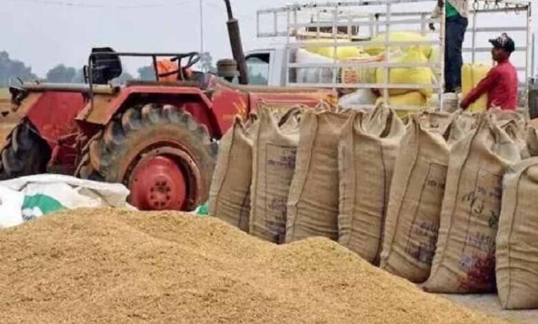 प्रदेश-में-धान-खरीदी-का-महाअभियान-तेजी-के-साथ-जारी