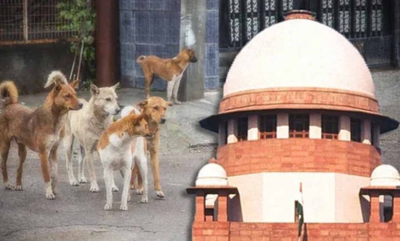 ‘मानवता-क्या-है,-यह-हम-बताएंगे’—आवारा-कुत्ते-मामले-में-कोर्ट-की-सख्त-टिप्पणी