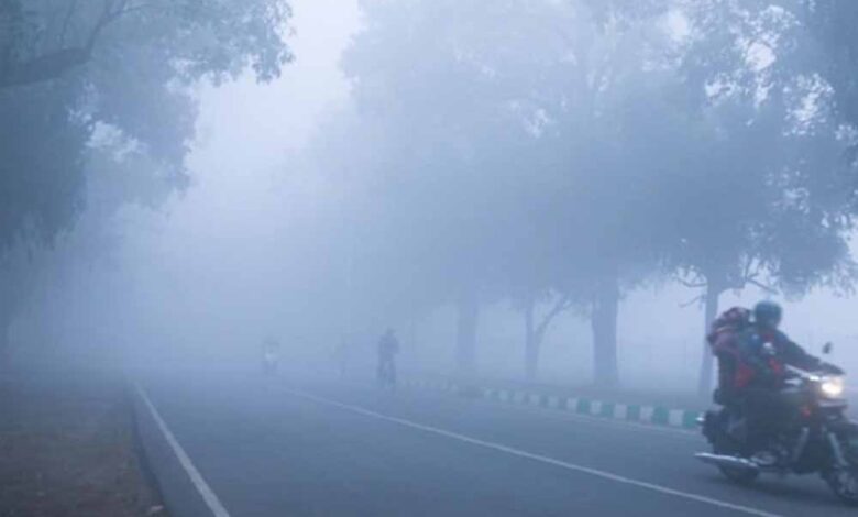 छत्तीसगढ़-के-उत्तर-में-कोहरे-का-अलर्ट,-रायपुर-में-शीतलहर-की-संभावना