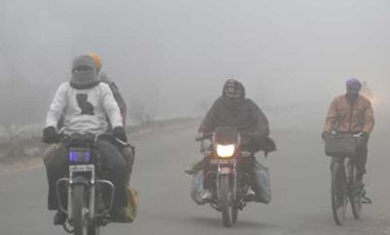 एमपी में कोहरे और सर्दी का कहर: दतिया-रीवा में 50 मीटर विजिबिलिटी, पचमढ़ी सबसे ठंडा