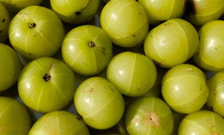 सेहत-के-लिए-बहुत-जरूरी-है-आंवले-का-सेवन…