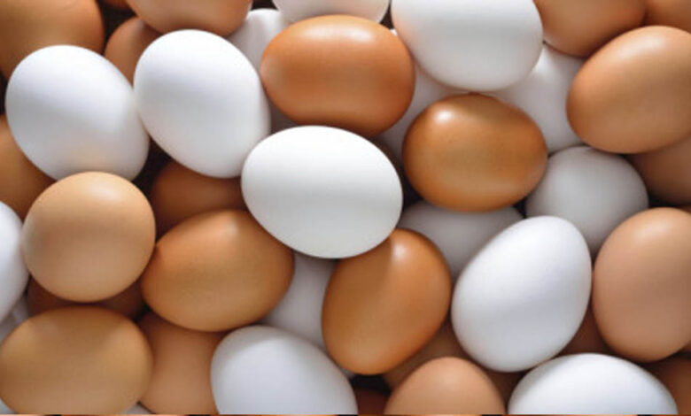 अंडे हुए महंगे: बाजार में 8 से 12 रुपये प्रति अंडा, कीमत बढ़ने की क्या है वजह?