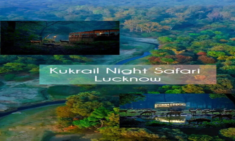 कुकरैल-वन-क्षेत्र-में-हो-रहा-ईको-टूरिज्म-सुविधाओं-का-विकास,-मिलेगा-प्रकृति-का-आनंद