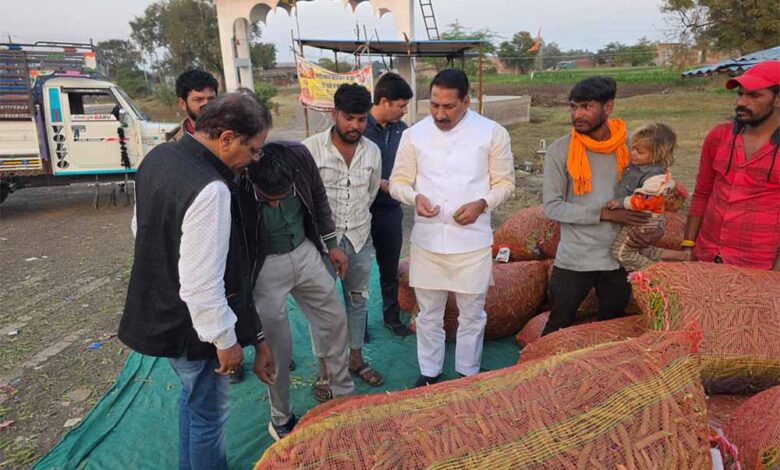 कृषि-मंत्री-कंषाना-ने-मटर-की-फसल-का-निरीक्षण-कर-किसानों-से-किया-संवाद