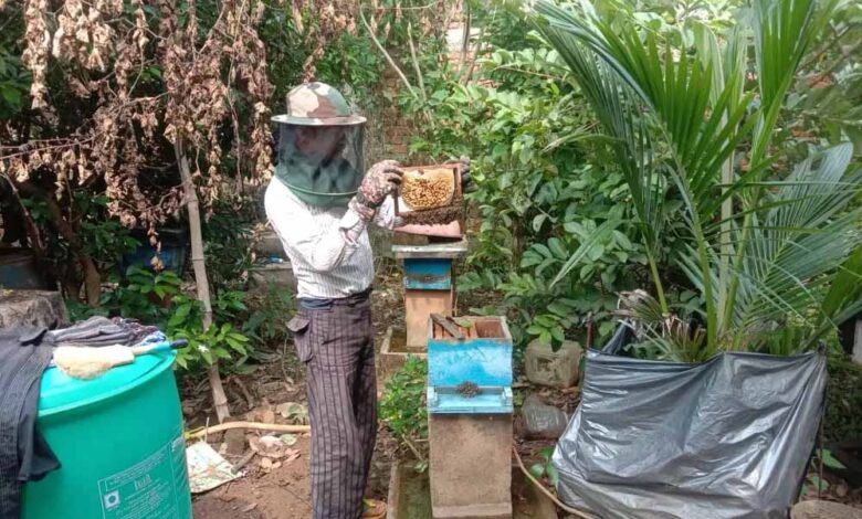 CG News: साय सरकार में खेती के साथ मधुमक्खी पालन बनीं उदय राम की रोजगार की कुंजी, कृषि विज्ञान केंद्र से लिया था प्रशिक्षण