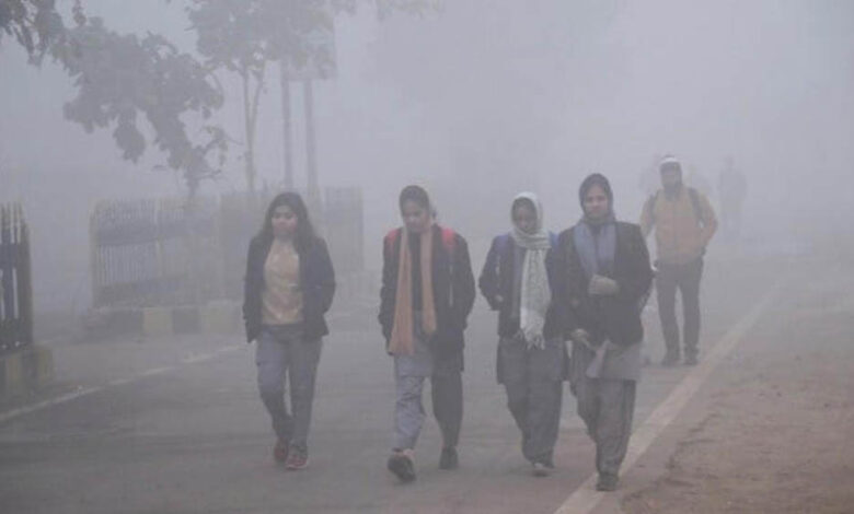 mp-में-20-मीटर-विजिबिलिटी,-ट्रेनें-14-घंटे-तक-लेट,-24-जिलों-में-स्कूलों-की-छुट्टी