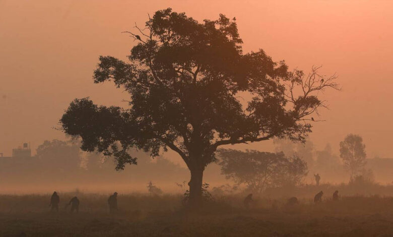 एमपी-में-कड़ाके-की-ठंड,-उमरिया-में-रिकॉर्ड-तोड़ा;-भोपाल,-इंदौर-और-ग्वालियर-में-स्कूलों-की-छुट्टी