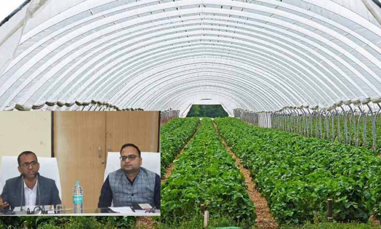 कलेक्टर-वसंत-ने-की-कृषि,-उद्यानिकी,-पशुधन-विकास-की-समीक्षा,-उद्यानिकी-योजनाओं-का-करें-प्रभावी-क्रियान्वयन