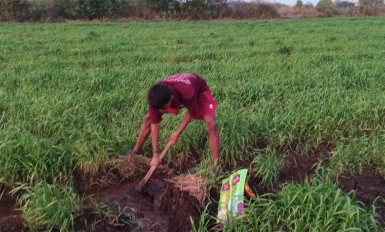 बारिश-के-बाद-अब-मावठा-भी-रूठा,-खंडवा-जिले-में-तेजी-से-गिर-रहा-जलस्तर