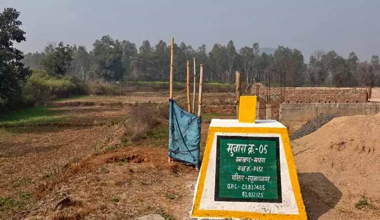 3-एकड़-वन-भूमि-पर-कब्जा,-भूमाफिया-को-रेंजर-का-संरक्षण